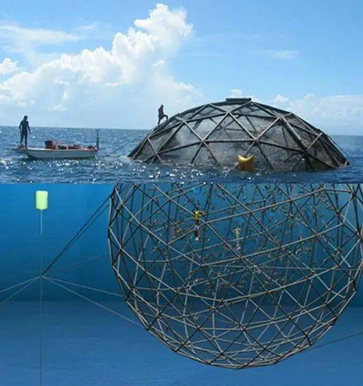 網箱養殖技術的進步與海水養殖研發的不斷完善