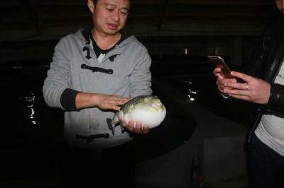 大連啟航“海魚(yú)陸?zhàn)B”保險(xiǎn)，海水養(yǎng)殖技術(shù)研發(fā)迎來(lái)新機(jī)遇